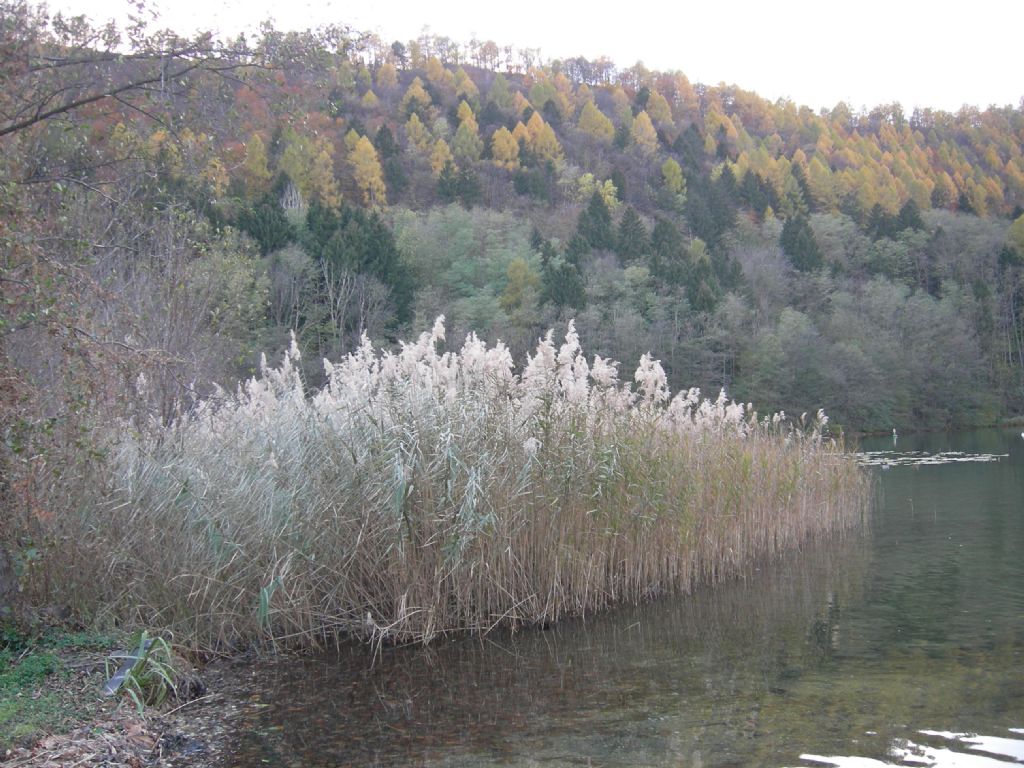 Laghi.......del TRENTINO
